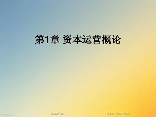 第1章 资本运营概论