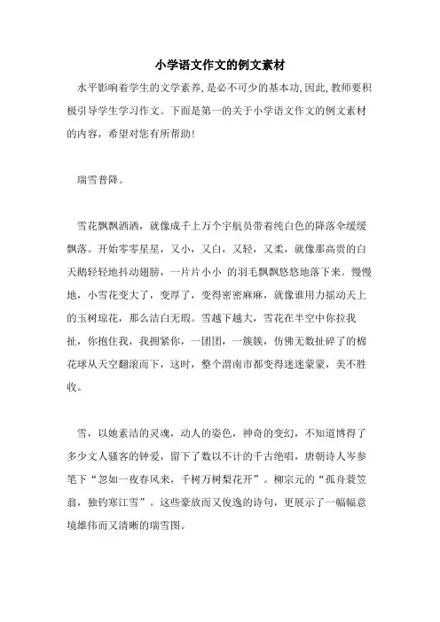 2021年小学语文作文的例文素材