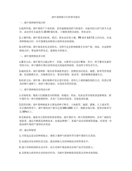 甜叶菊种植可行性研究报告