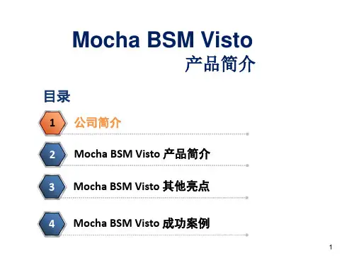 Mocha BSM Visto 产品简介 公共版 V1.1