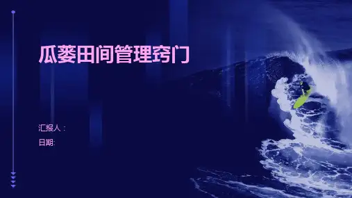 瓜蒌田间管理窍门