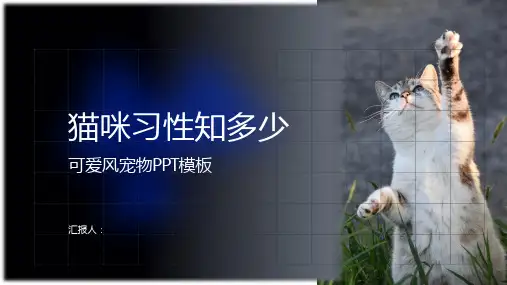 猫咪习性知多少——可爱风宠物ppt模板