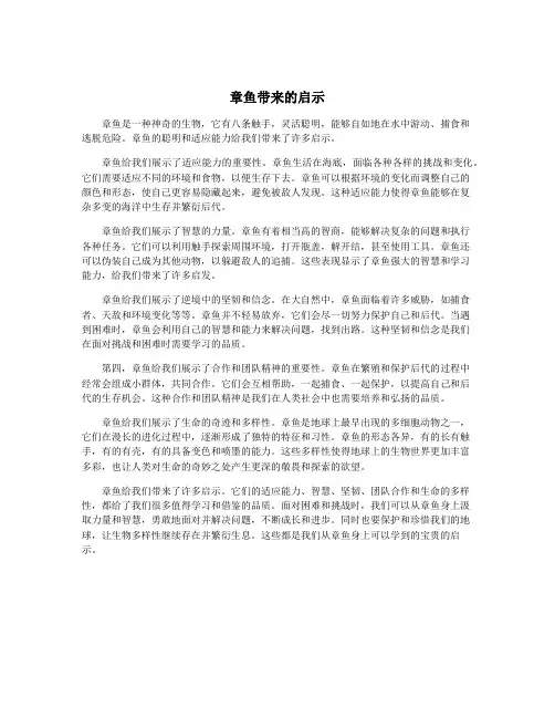 章鱼带来的启示