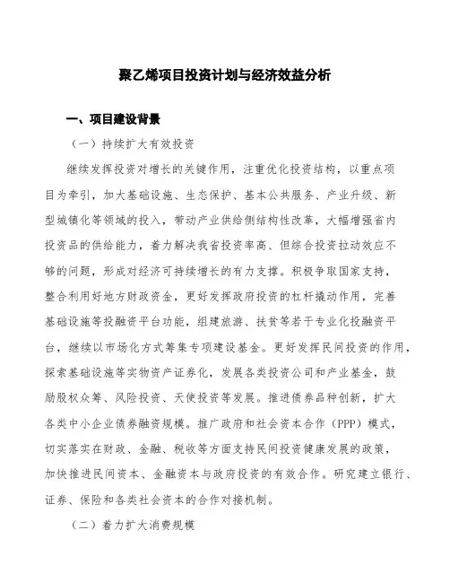 聚乙烯项目投资计划与经济效益分析