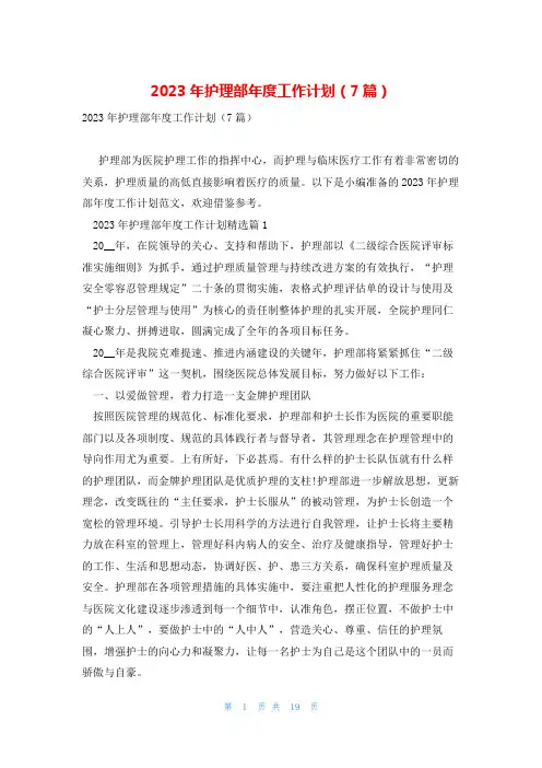 2023年护理部年度工作计划(7篇)