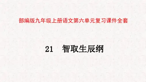 部编版九年级上册语文第六单元复习课件全套