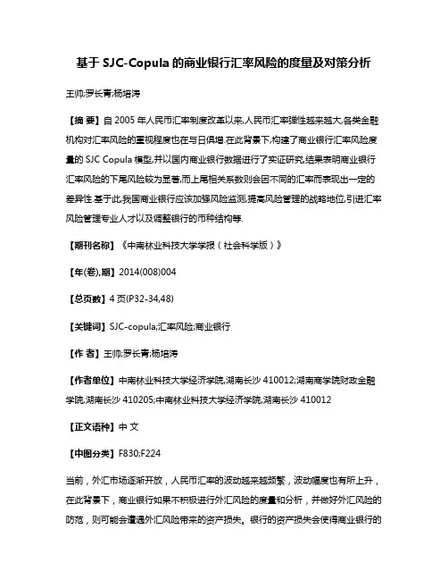 基于SJC-Copula的商业银行汇率风险的度量及对策分析