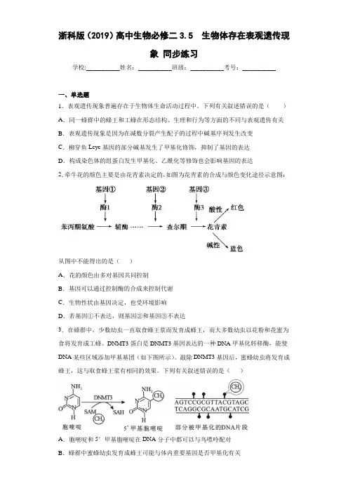 必修2《遗传与进化》 第3章 3.5 生物体存在表观遗传现象 同步练习 (2)