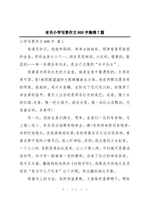 有关小学写景作文600字集锦7篇