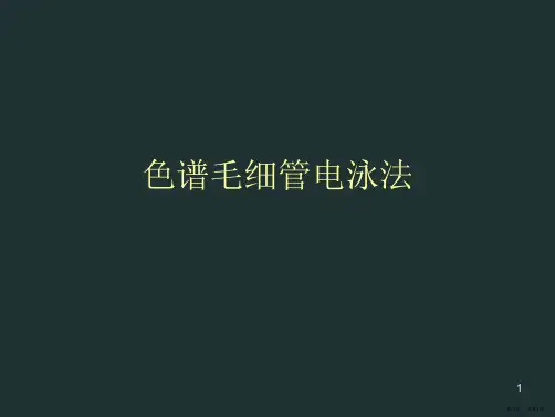 色谱毛细管电泳法