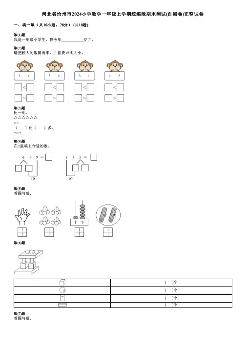 河北省沧州市2024小学数学一年级上学期统编版期末测试(自测卷)完整试卷