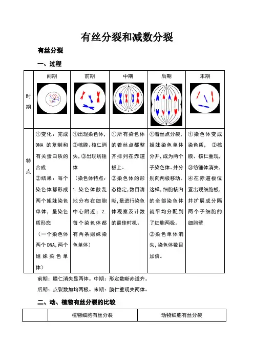 高中生物必修二有丝分裂_减数分裂总结知识点