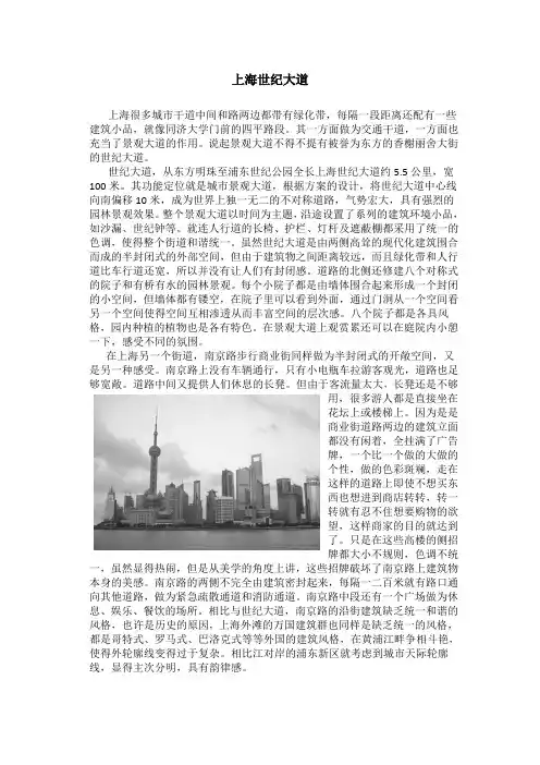 上海世纪大道