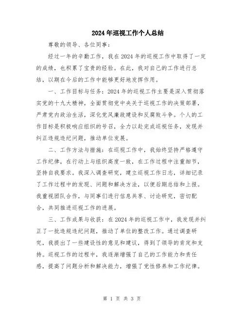 2024年巡视工作个人总结