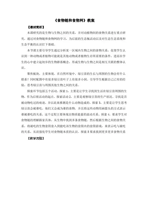 《食物链和食物网》教案