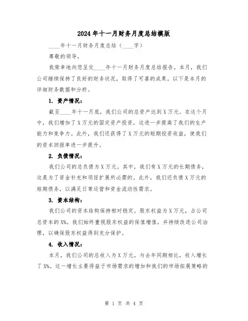 2024年十一月财务月度总结模版(2篇)