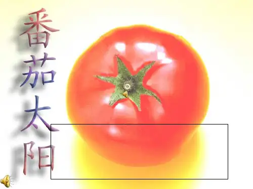 番茄太阳第一课时课件