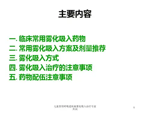 儿童常用呼吸道疾病雾化吸入治疗专家共识培训课件