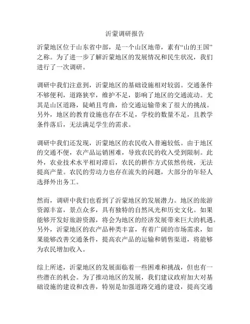 沂蒙调研报告