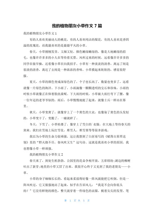 我的植物朋友小草作文7篇