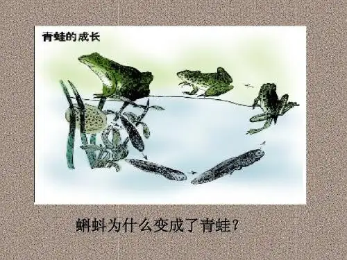 《哲学与人生》第2课(一)运动是物质的存在方式