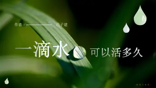 迟子建《一滴水可以活多久》课件PPT(28页)