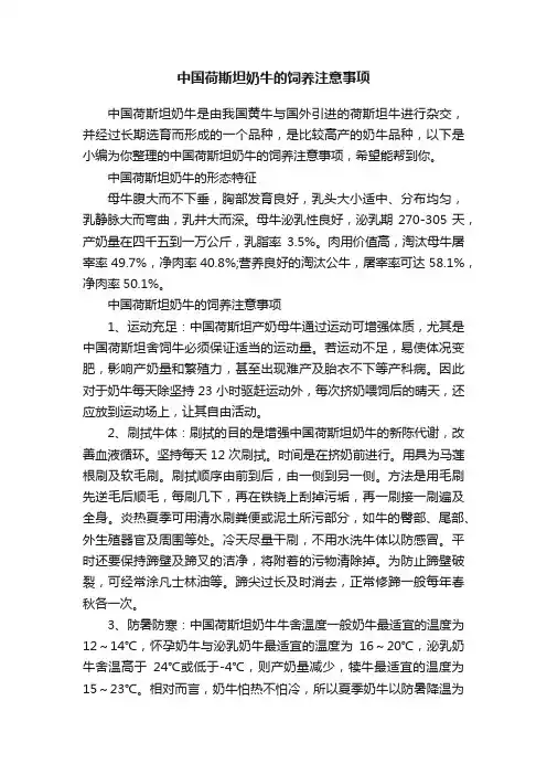 中国荷斯坦奶牛的饲养注意事项