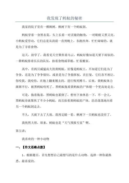 我发现了蚂蚁的秘密