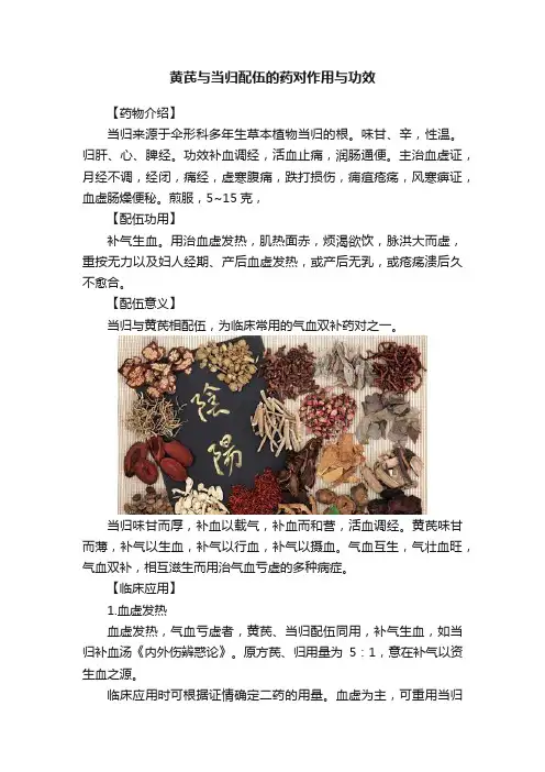 黄芪与当归配伍的药对作用与功效
