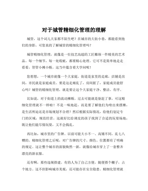 对于城管精细化管理的理解