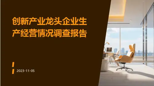 创新产业龙头企业生产经营情况调查报告