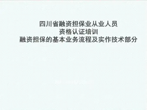 BPM业务流程管理-融资担保的基本业务流程及实作技术 