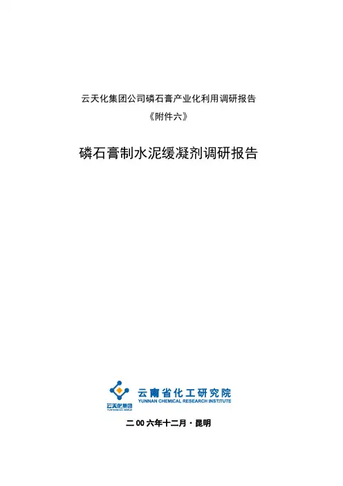 磷石膏制水泥缓凝剂报告正文(改07)