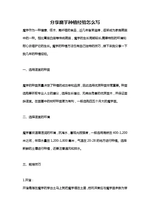 分享魔芋种植经验怎么写