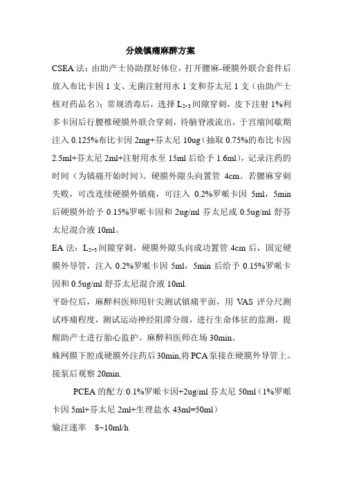 分娩镇痛麻醉方案