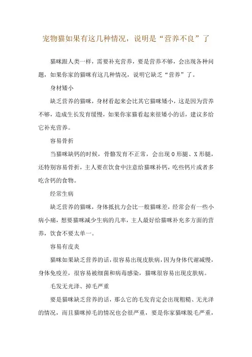 宠物猫如果有这几种情况,说明是“营养不良”了