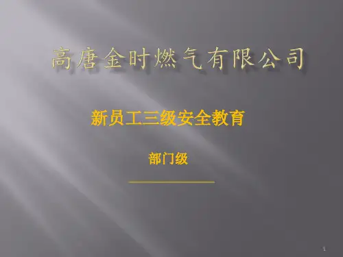 部门级安全教育培训PPT课件