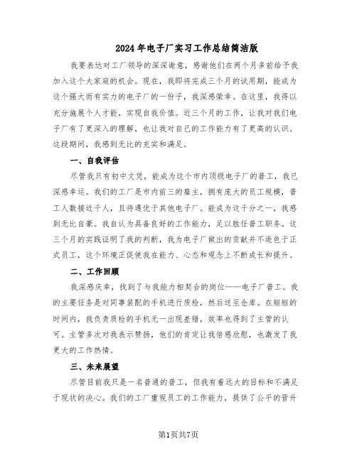 2024年电子厂实习工作总结简洁版（5篇）