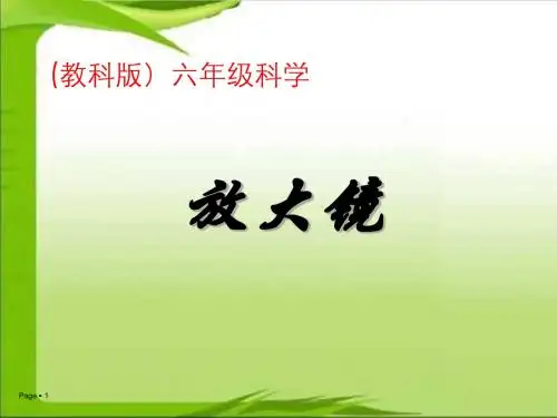 1-1《放大镜》PPT课件