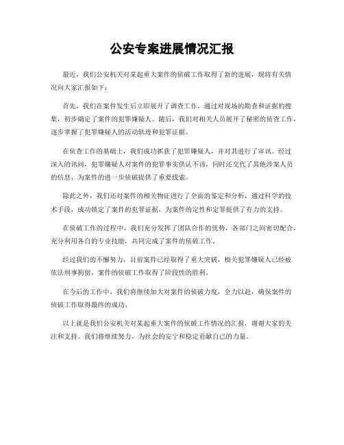 公安专案进展情况汇报