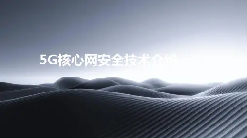 5G核心网安全技术介绍
