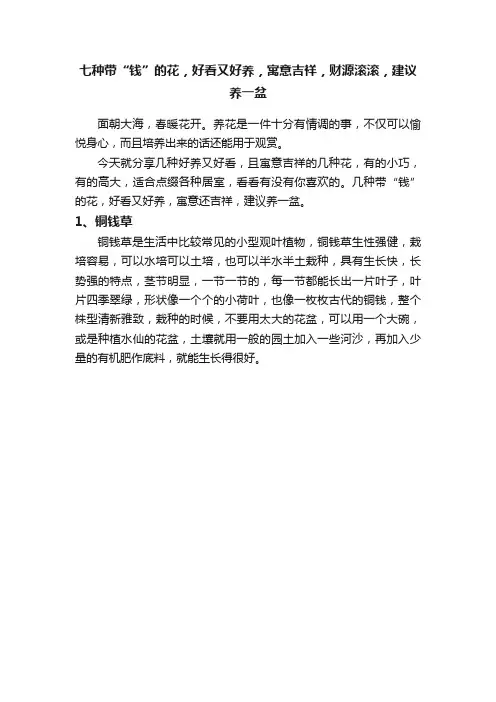 七种带“钱”的花，好看又好养，寓意吉祥，财源滚滚，建议养一盆
