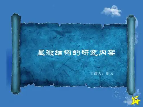 显微结构