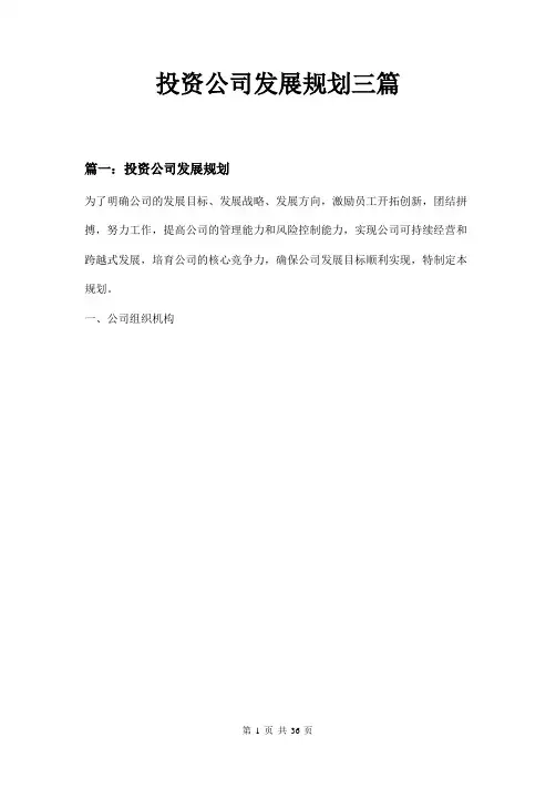 投资公司发展规划三篇