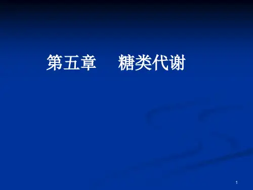 生物化学第五章糖类代谢PPT课件