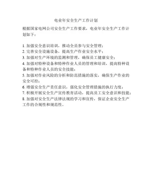 电业年安全生产工作计划