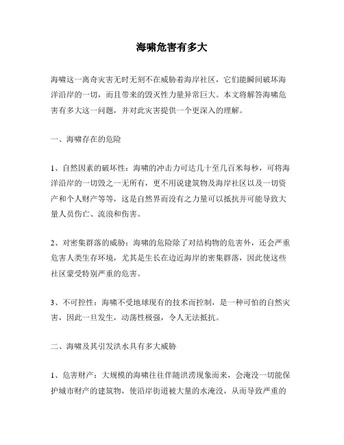 海啸危害有多大