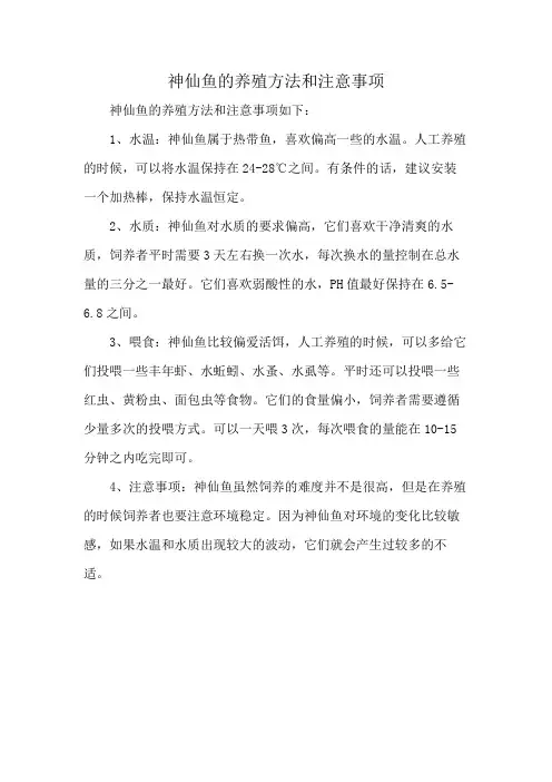 神仙鱼的养殖方法和注意事项