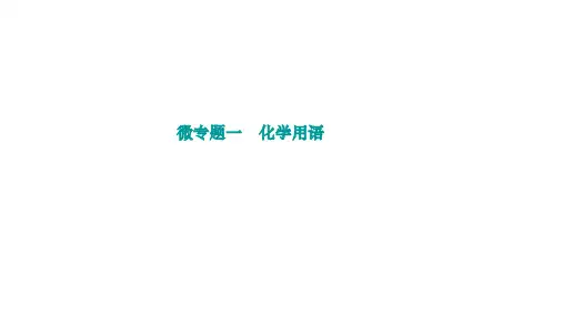 九年级化学专题复习微专题一 化学用语