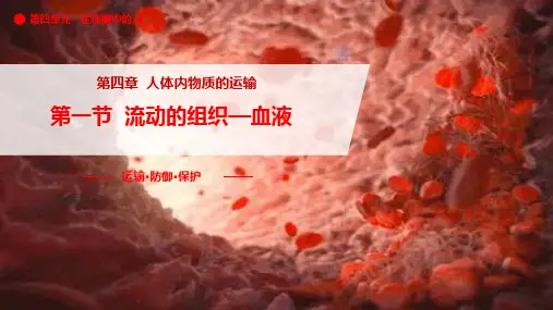 4.1流动的组织-血液-七年级生物下册课件(人教版)